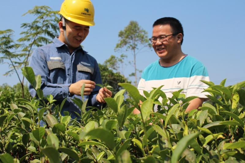 广东省农业局，引领农业现代化，助力乡村振兴