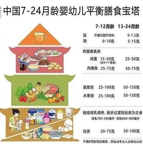 九个月宝宝的饮食规划，一天吃几餐？