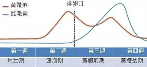 女性一个月体温变化，揭示生理周期中的微妙波动